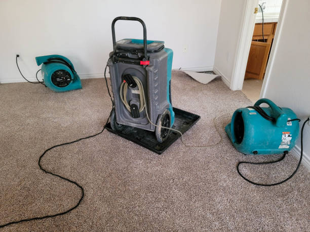 Best Carpet water damage restoration  in Hartley, IA